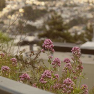 Meet your Posher, Ai